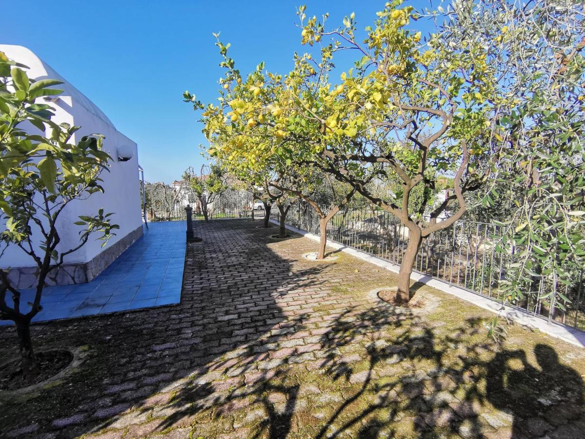 Tenuta Solleone Peschici Extérieur photo