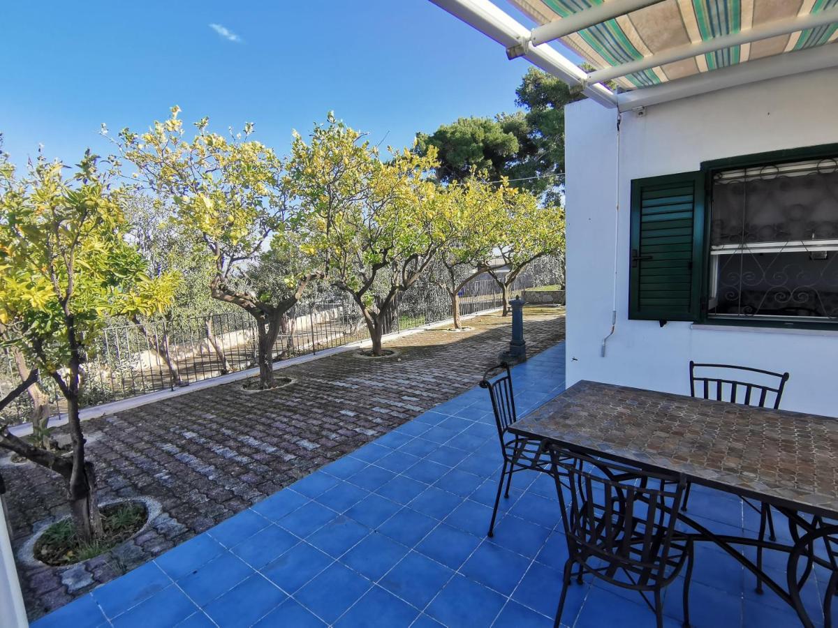 Tenuta Solleone Peschici Extérieur photo